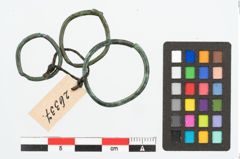 Foto von Bronzering (NHMW-PRAE-026337)